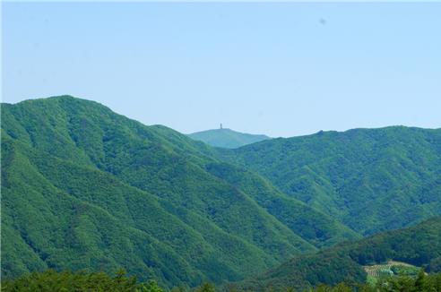 ▲ 산 너울 뒤편으로 보이는 소백산 제2연화봉 전망대.ⓒ진경수 山 애호가