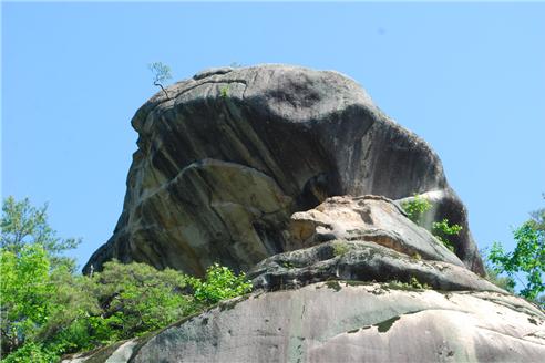 ▲ 충북 단양군 대강면 올산리 북쪽에 자리한 바위산인 ‘올산(兀山, 해발 858m)’은 첩첩산중 한 가운데 우뚝 솟은 산이다. 이 산에는 기기묘묘한 바위들이 많다. 사진은 ‘두꺼비 바위’.ⓒ진경수 山 애호가