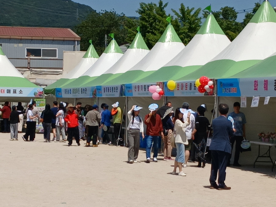 ▲ 김해시가 개최한 제1회 부추랑 함께하는 농특산물 대축제. ⓒ김해시 제공