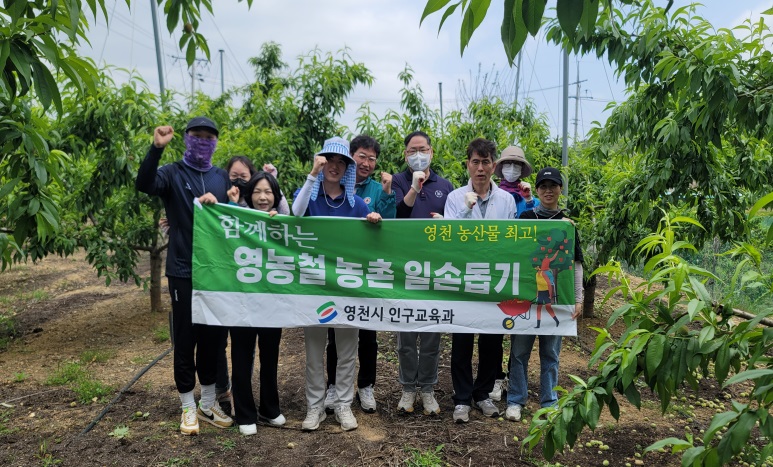 ▲ 영천시 인구교육과는 지난 21일 도림동 농가를 방문해 일손 부족으로 곤욕을 치르고 있는 농가의 복숭아 적과 작업을 진행했다.ⓒ영천시