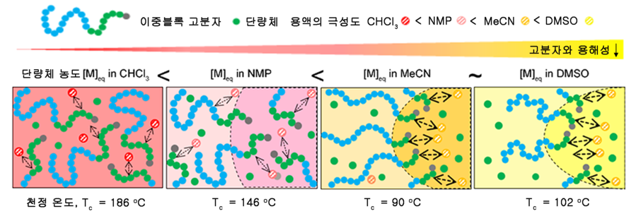 ▲ 이중블록 고분자와의 용해성이 떨어지는 선택적 용매에서 중합을 진행했을 때 발생하는 고분자 자기조립의 모식도.ⓒKAIST