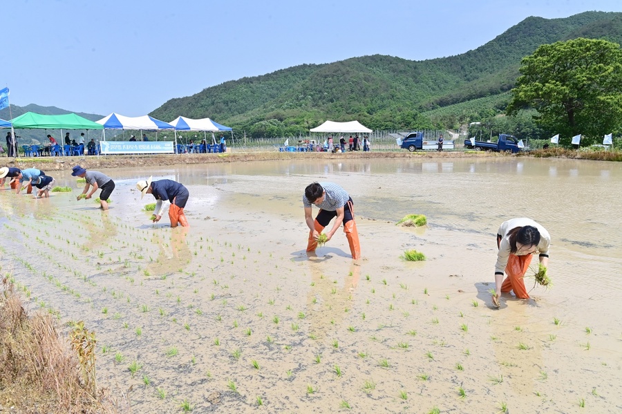 ▲ 청송군 농민회(회장: 박명호)는 지난 24일 부남면 양숙리에서 ‘2024년 풍년기원제 및 통일쌀 손 모내기 행사’를 펼쳤다.ⓒ청송군