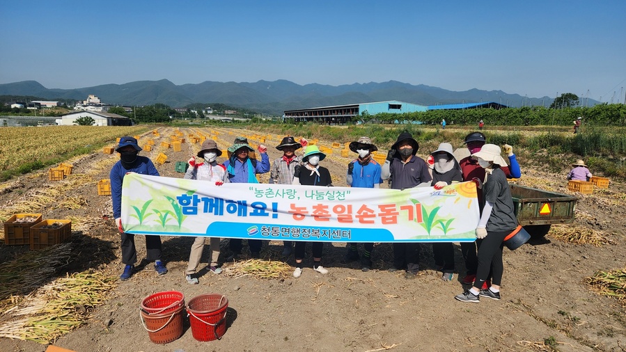 ▲ 영천시 청통면은 지난 24일 인력수급의 불안정과 인건비 상승으로 어려움을 겪고 있는 농민들을 돕기 위한 일손돕기를 진행했다.ⓒ영천시