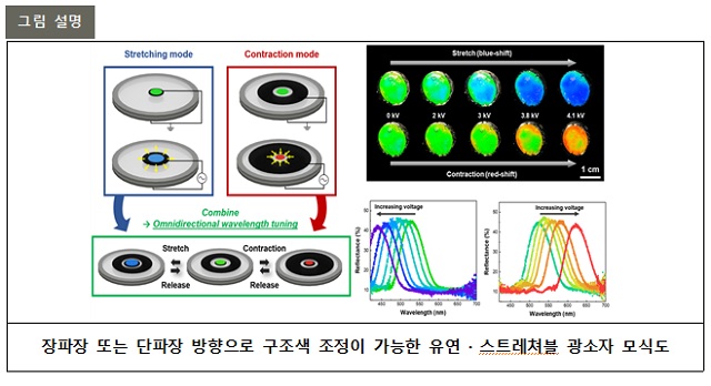 ▲ 연구 관련 그림.ⓒ포스텍