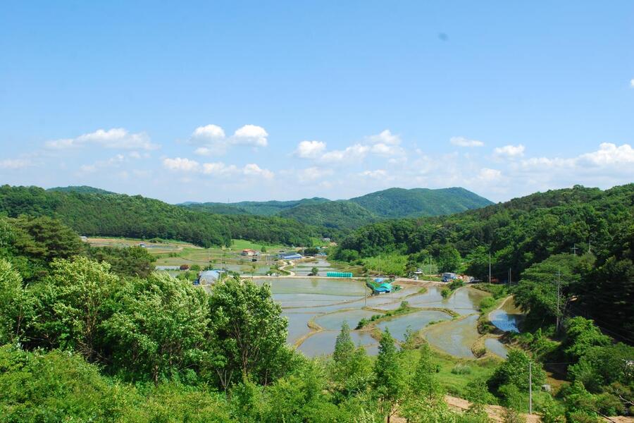 ▲ 보화정 옆에서 바라본 농촌풍경과 선두산.ⓒ진경수 山 애호가