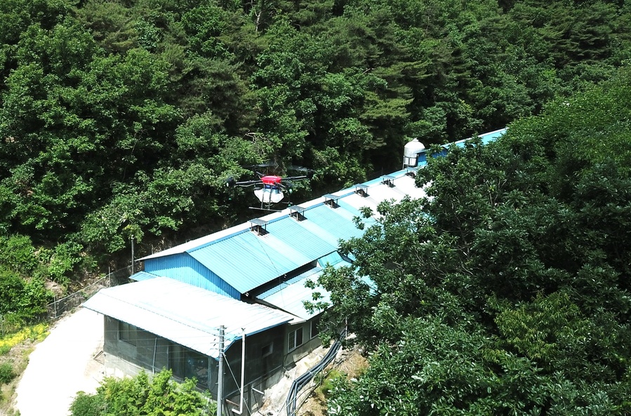 ▲ 경상북도는 5월 31일부터 강원 접경지역 및 야생 멧돼지 아프리카돼지열병(ASF) 검출 시군 소재 양돈농가를 대상으로 드론을 활용해 멧돼지 기피제 방역을 했다.ⓒ경북도