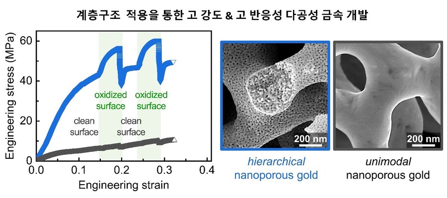 ▲ 계명대 진한솔 교수가 계층구조를 적용한 다공성 재료의 기계적 강도 향상 연구 논문이 국제학술지에 게재됐다.ⓒ계명대