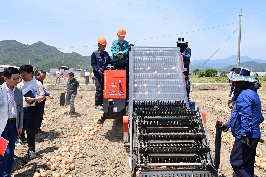 ▲ 고령군(군수 이남철)은 6월 5일 11시 고령농협양파기계화협의체 주관으로 운수면 월산리 양파 포장 일원에서 밭농업 기계화 우수모델 육성사업을 통해 임대한 굴취기와 수집기 등의 현장 연시회를 가졌다.ⓒ고령군