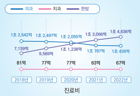▲ 자동차보험 진료비 통계. ⓒ건강보험심사평가원