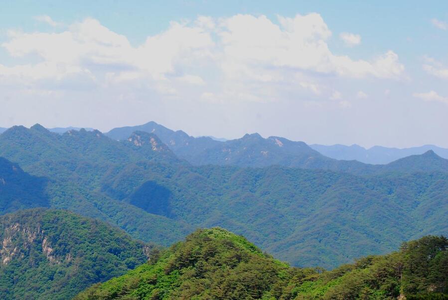 ▲ 만수봉 오름길에 바라본 백두대간의 마루금.ⓒ진경수 山 애호가