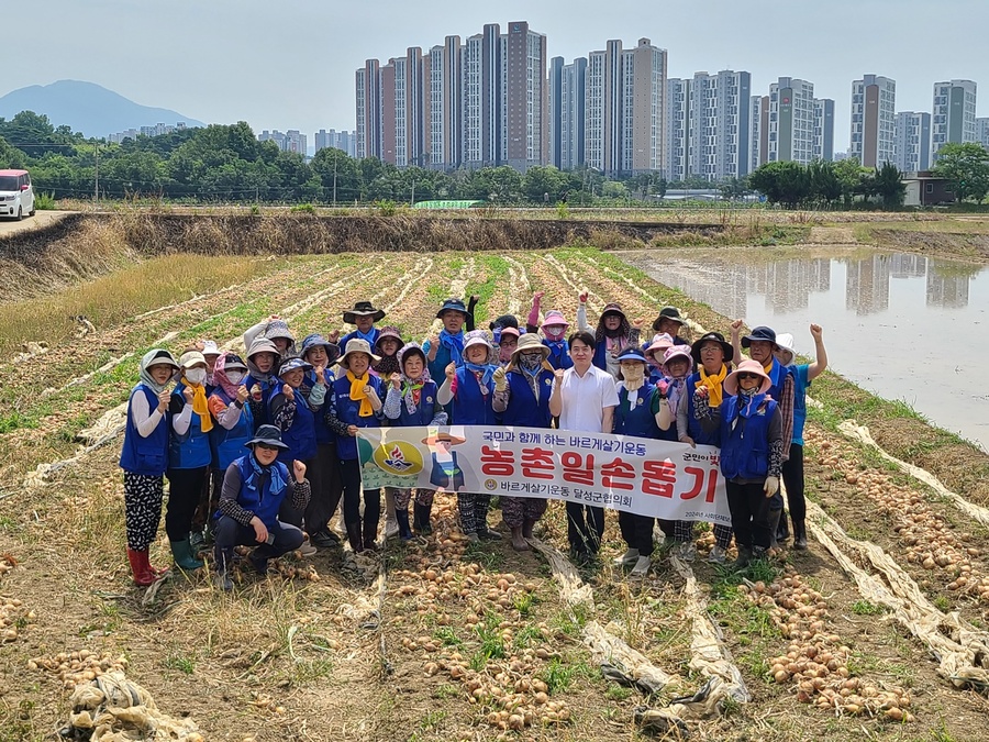 ▲ 바르게살기운동달성군협의회(회장 노미영)는 지난 7일 일손이 부족하여 곤란을 겪고 있는 양파 농가를 위해 구슬땀을 흘렸다.ⓒ달성군