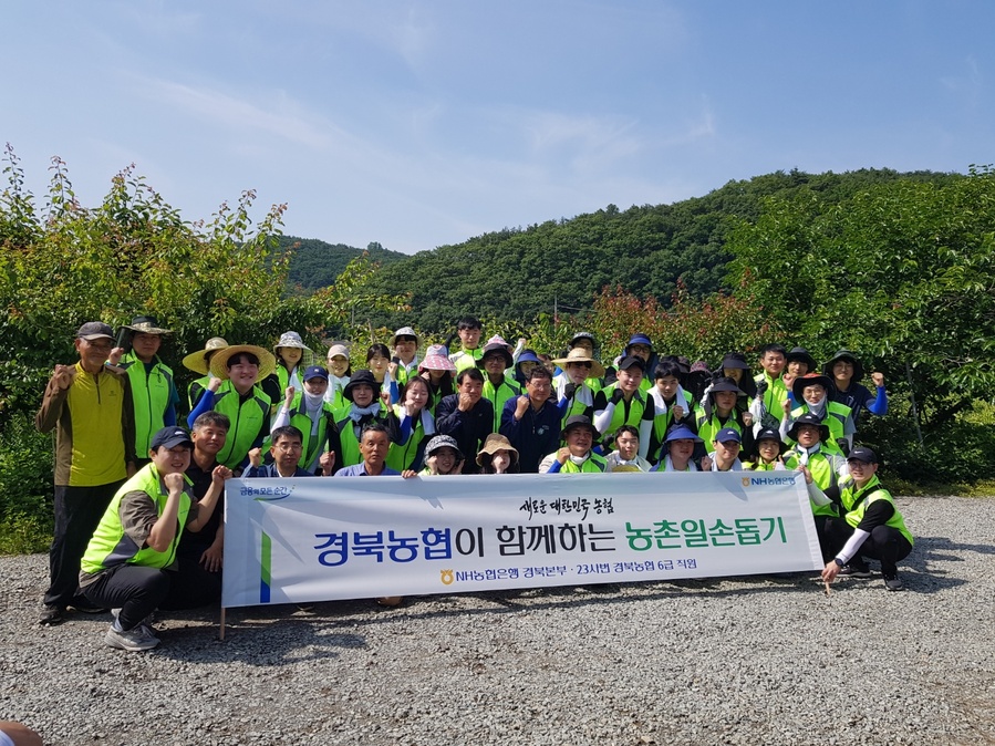 ▲ NH농협은행 경북본부(본부장 최진수)는 10일 경주시 현곡면 소재 배 재배농가를 찾아 농촌일손돕기를 실시했다.ⓒNH농협은행 경북본부