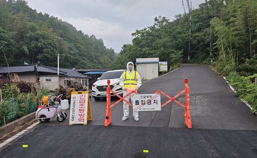 ▲ 영천시 소재 양돈농장에서 15일 아프리카돼지열병 양성축이 확인돼 긴급 방역조치에 나섰다.ⓒ경북도