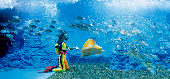 ▲ ⓒ한화호텔앤드리조트