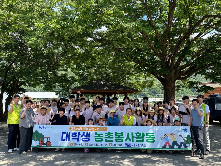 ▲ 경북농협(본부장 임도곤)과 대산농협(조합장 지용식)은 지난 24일 김천 대덕면 가례리에서 서울시립대학교 학생 50여 명과 함께 ‘희망농업 행복농촌 서포터즈’ 출정식 및 감자 수확에 구슬땀을 흘렸다.ⓒ경북농협