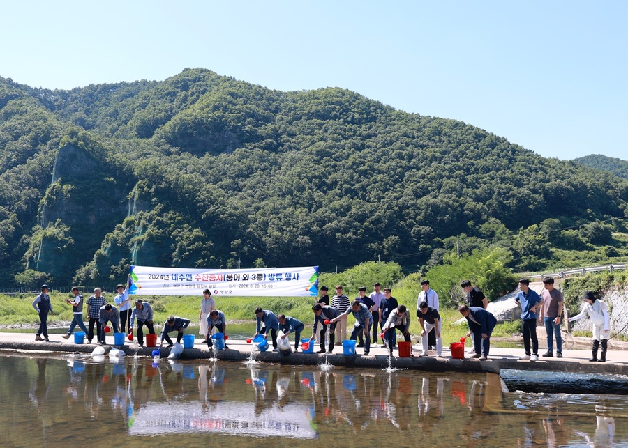 ▲ 영양군(군수 오도창)은 6월 28일 영양읍 감천리 및 관내 주요 하천에서 메기, 붕어, 미꾸리 34만 7000미와 다슬기(종패) 58만 8000패를 방류하여 내수면 수산자원 및 토종생태계 보존에 최선을 다하고 있다.ⓒ영양군