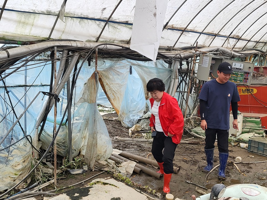 ▲ 조배숙 의원이 12일 오전 호우로 인한 수해를 입은 지역인 익산 망성면과 군산 성산면에 방문하여 수해 상황을 점검하고 있다.ⓒ국민의힘 전북특별자치도당