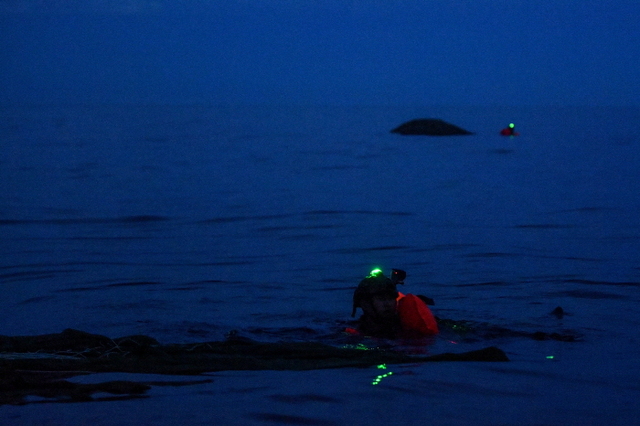 ▲ 항공구조사들이 칠흑같은 어둠 속에서 해상으로 강하한 후 낙하산을 정리하고 있다. 공군 제6탐색구조비행전대는 7월 야간, 강릉 인근 동해상에서 항공구조사(SART) 15명과 HH-47, HH-60 등 탐색구조헬기 2대가 참가한 가운데, 전술임무 집중훈련을 연계한 '야간 수상수중 전투탐색구조훈련'을 실시했다. ⓒ공군 제공