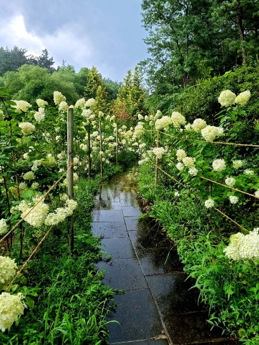 ▲ 전남도 제2호 민간정원 전남 담양군 '죽화경'. ⓒ 담양군