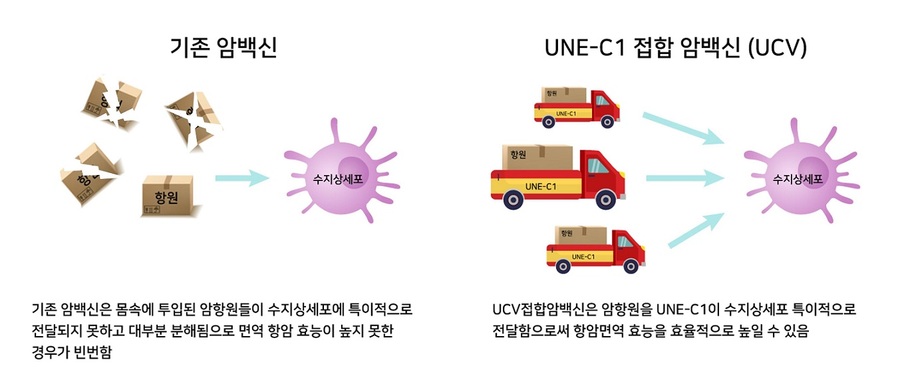 ▲ UNE-C1 접합 암백신 개념도.ⓒ연세대