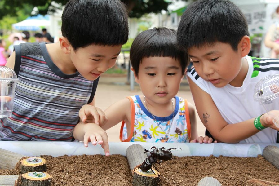 ▲ 예천군(군수 김학동)은 8월 15일부터 18일까지 예천곤충생태원에서 2024 예천곤충축제를 연다.ⓒ예천군