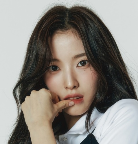 오마이걸 아린, 드라마 '내 <b>여자 친구는</b> 상남자' 여주인공 확정