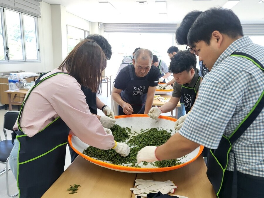 ▲ 전남 보성 영천마을 녹차 만들기를 하고 있다. ⓒ 보성군