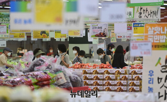 ▲ 한 대형마트에서 손님들이 장을 보고 있다. ⓒ정상윤 기자