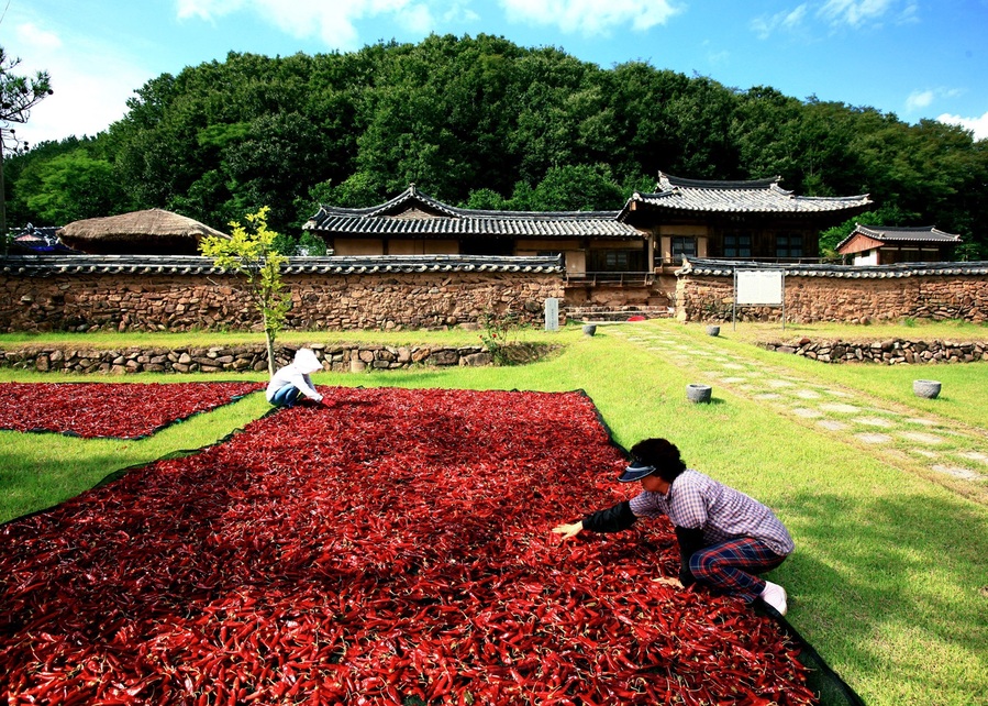 ▲ ‘2024 영양고추 H.O.T 페스티벌’의 일환으로 서울광장에서 ‘K-매운맛 영양고추 맛보러 오이소!’라는 슬로건으로 8월 29일부터 3일간 16번째 도농상생 농특산물 한마당 행사를 연다.ⓒ영양군