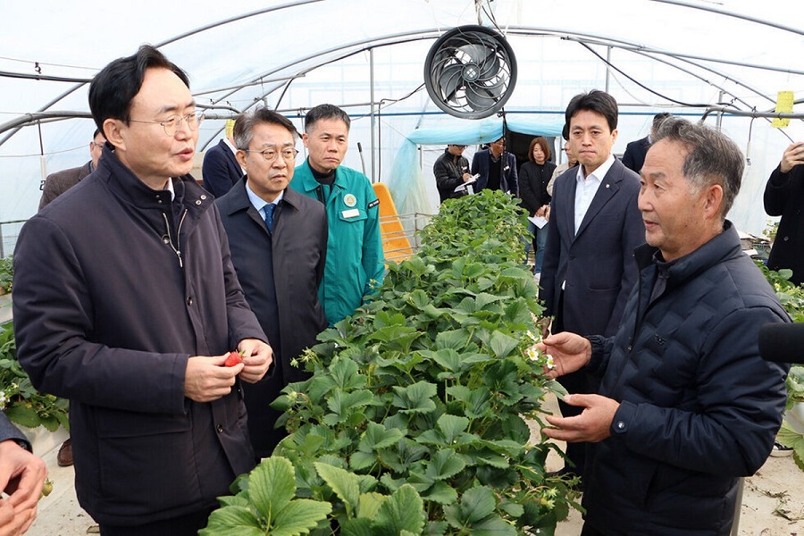 ▲ 윤병태 시장이 지난 3월 8일 남평읍, 세지면 지역 딸기·멜론 재배 농가를 방문해 일조량 부족에 따른 농작물 피해 현황을 점검하고 있다.ⓒ나주시