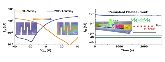 ▲ High-level injection에 의한 단층 텅스텐 디셀레나이드(WSe₂)의 다수 캐리어 변화 및 지속광전류 특성.ⓒ한양대