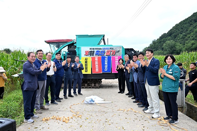 ▲ 군위군 농업기술센터 농정축산과는 지난 28일 한우농가 경쟁력 확보 및 경축순환농업 실천을 위해 하계 조사료 옥수수 수확 시연회를 가졌다.ⓒ군위군