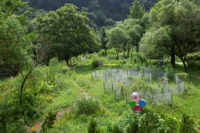 ▲ 명지산 아래 별빛마을 ‘가평 반딧불이서식생태공원’. ⓒ경기관광공사 제공