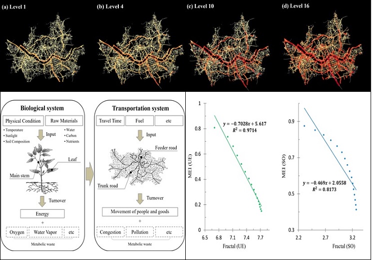 ▲ 서울 도로 시스템의 트래픽 성장 패턴(위)과 생물체와 교통시스템의 신진대사(아래 오른쪽), 프랙탈 차원과 신진대사 지표의 관계(아래 왼쪽).ⓒ서울시립대