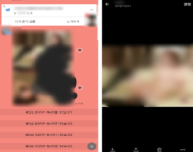 ▲ 더불어민주당 서울 지역대학생위원회에서 수석부위원장을 맡고 있는 A 씨가 지난 2018년 단체대화방에서 여성 아이돌 출신 배우의 얼굴이 합성된 알몸 사진을 유포한 장면. ⓒ제보자