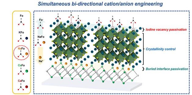 ▲ 양방향성 양이온/음이온 계면 엔지니어링 기술(Designed bi-directional cation/anion interfacial distribution)에 대한 모식도.ⓒ고려대