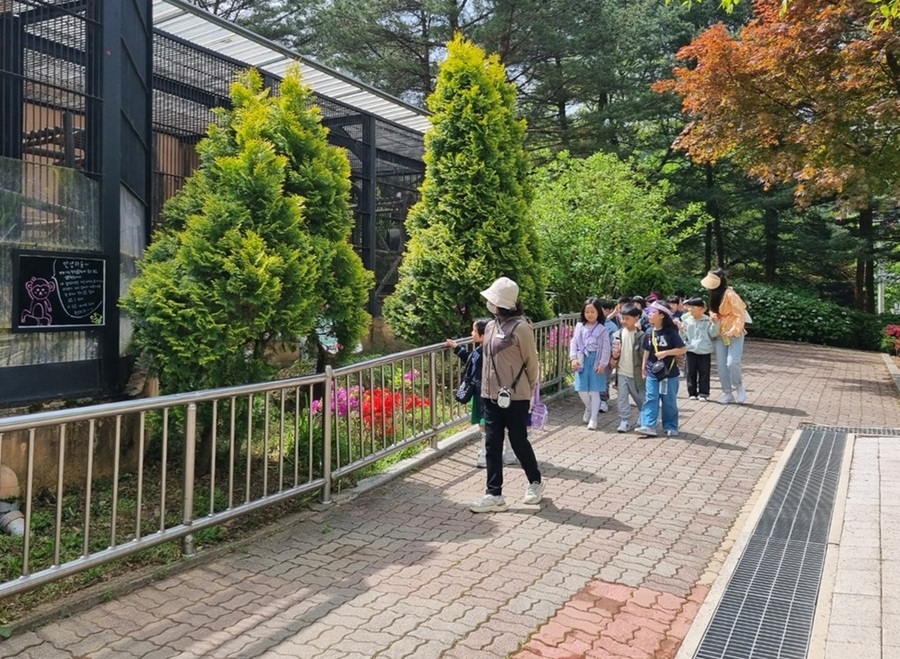 ▲ 청주랜드관리사업소가 어린이회관과 동물원의 관람 환경을 향상시키기 위한 대규모 개선 공사를 추진하고 있다.ⓒ청주시