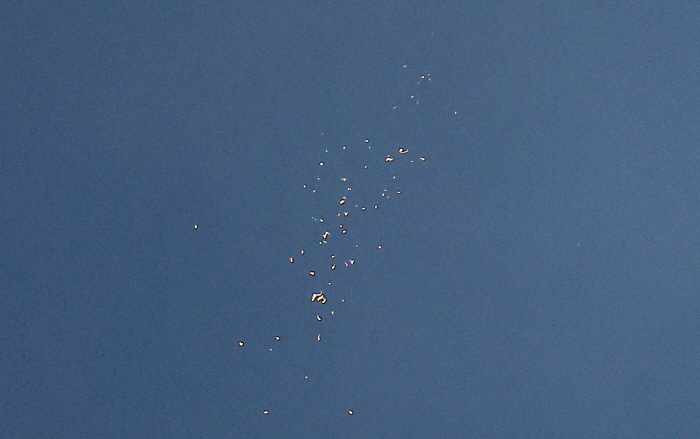 ▲ 북한이 대남 오물풍선을 보낸 지난 7월 24일 저녁 서울 중구 하늘에서 오물풍선이 공중에서 터지고 있는 모습. ⓒ뉴시스