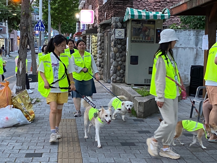 ▲ 대구 북구 관음동 도시재생 현장지원센터는 9월 9일부터 9월 27일까지 제2기 펫폴리단을 모집한다.ⓒ북구청