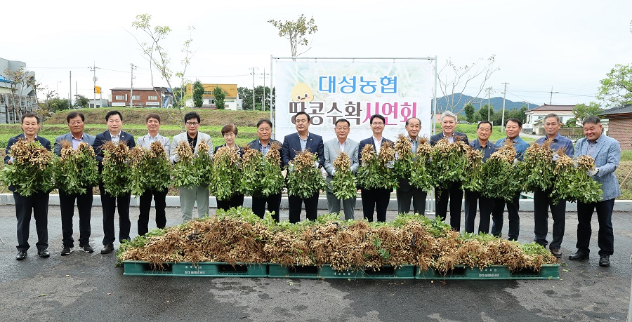 ▲ 고창군(군수 심덕섭)과 대성농협(조합장 박윤규)이 23일 대성농협 본점(대산면 공음대산로 940)에서 고창명품 땅콩의 수확을 기념하기 위하여 땅콩 수확기, 탈곡기 등을 이용한 수확 시연회를 열었다.ⓒ고창군