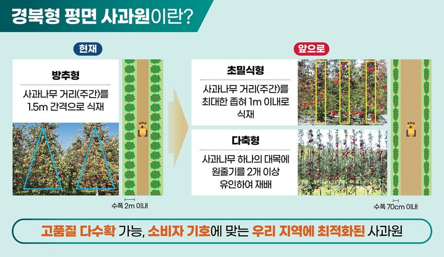 ▲ 경상북도는 25일 포항시 죽장면 태산농원에서 ‘경상북도 사과산업 대전환 선포식’을 열었다.ⓒ경북도