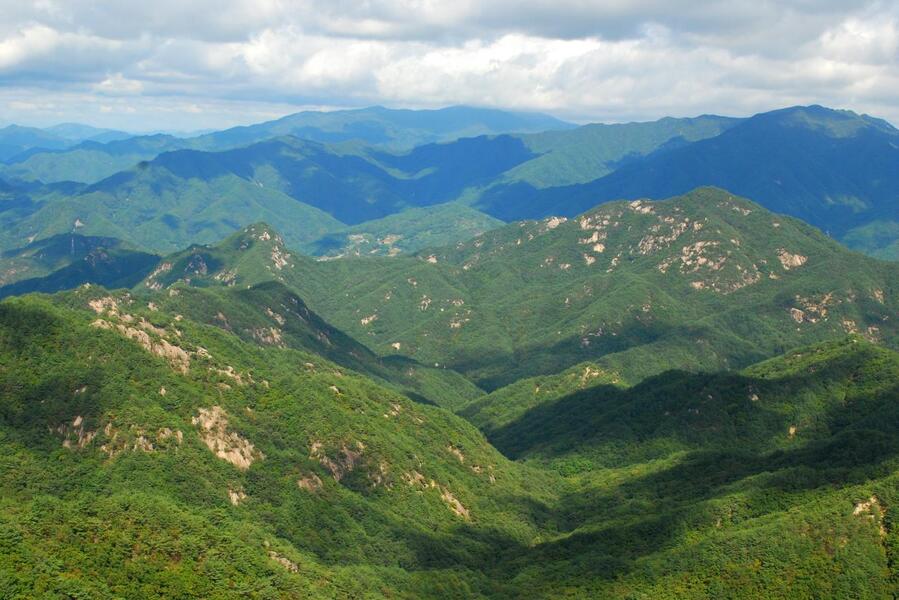 ▲ 올산 산등성이 저 멀리 보이는 소백산 능선.ⓒ진경수 山 애호가