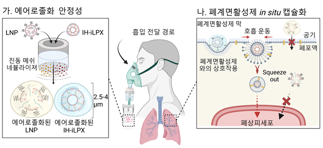 ▲ 흡입 최적화 지질 나노 복합체의 mRNA 흡입 전달 전략 모식도.ⓒKAIST