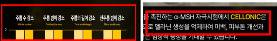 ▲ 소비자 오인 우려 광고 문구.ⓒ부산시