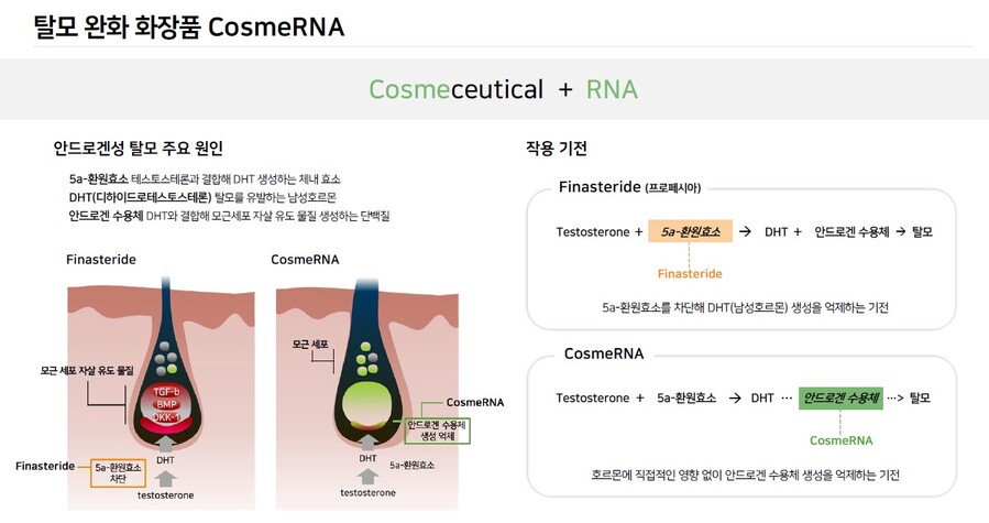 ▲ 안드로겐성 탈모 주요원인.ⓒ바이오니아㈜