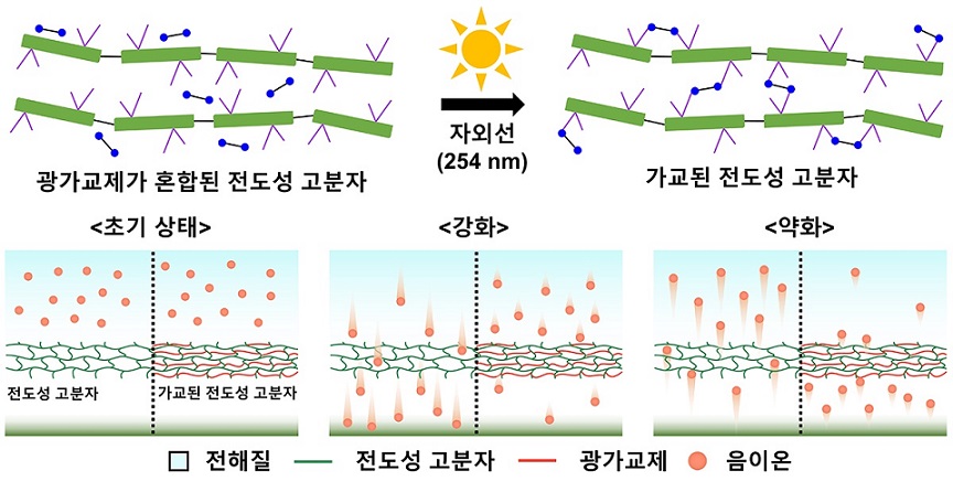 ▲ 가교 밀도 제어 모식도.ⓒ서울과기대