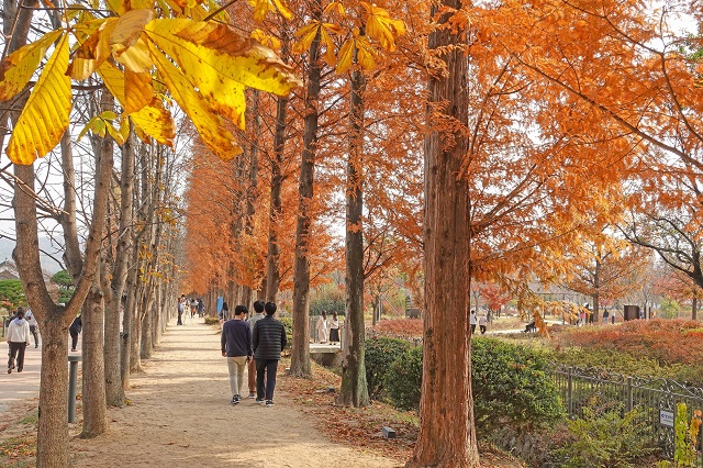 ▲ 경북산림환경연구원 산책로 전경.ⓒ경주시