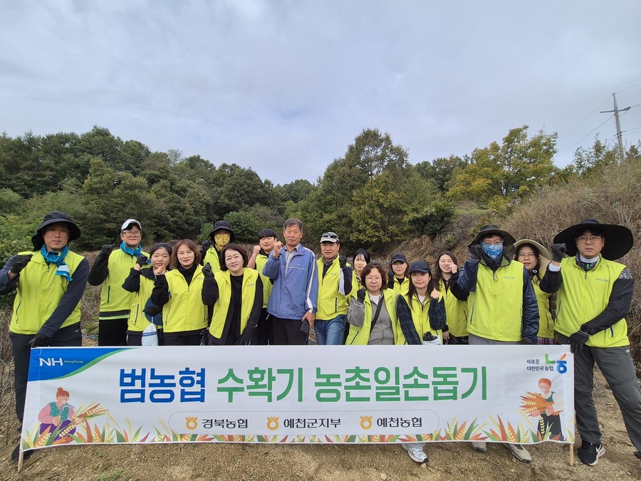 ▲ 경북농협(본부장 임도곤)은 지난 21일 수확기를 맞아 예천군 고추재배 농가를 방문해 일손돕기를 펼쳤다.ⓒ경북농협