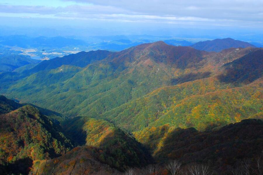 ▲ 산허리까지 내려온 단풍.ⓒ진경수 山 애호가