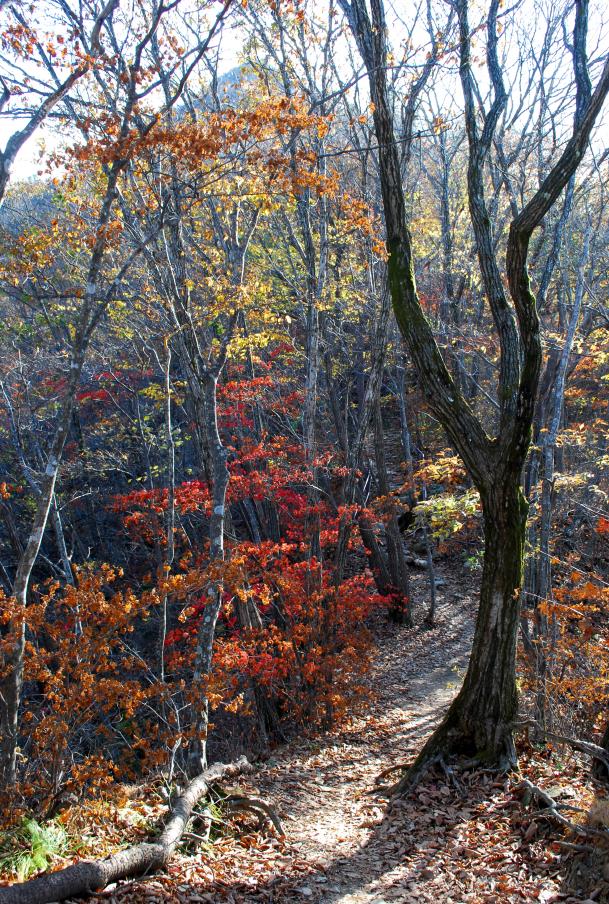 ▲ 하산길을 내려다보며 배웅하는 뾰족한 비로봉.ⓒ진경수 山 애호가